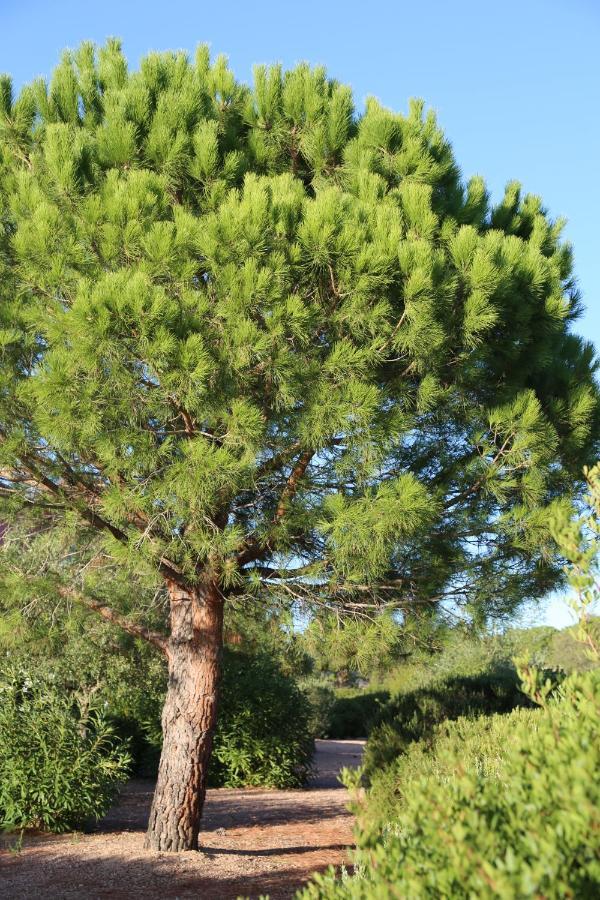Aparthotel Casa Mia Porto Vecchio Exterior foto